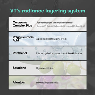 VT Cosmetics PDRN Essence 100
