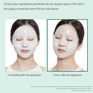 VT Cosmetics Pro Cica Reedle Shot 100 2-Step Hydrogel Mask