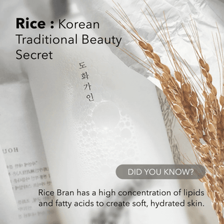 HOUSE OF DOHWA Rice Brand Toner (200ml)